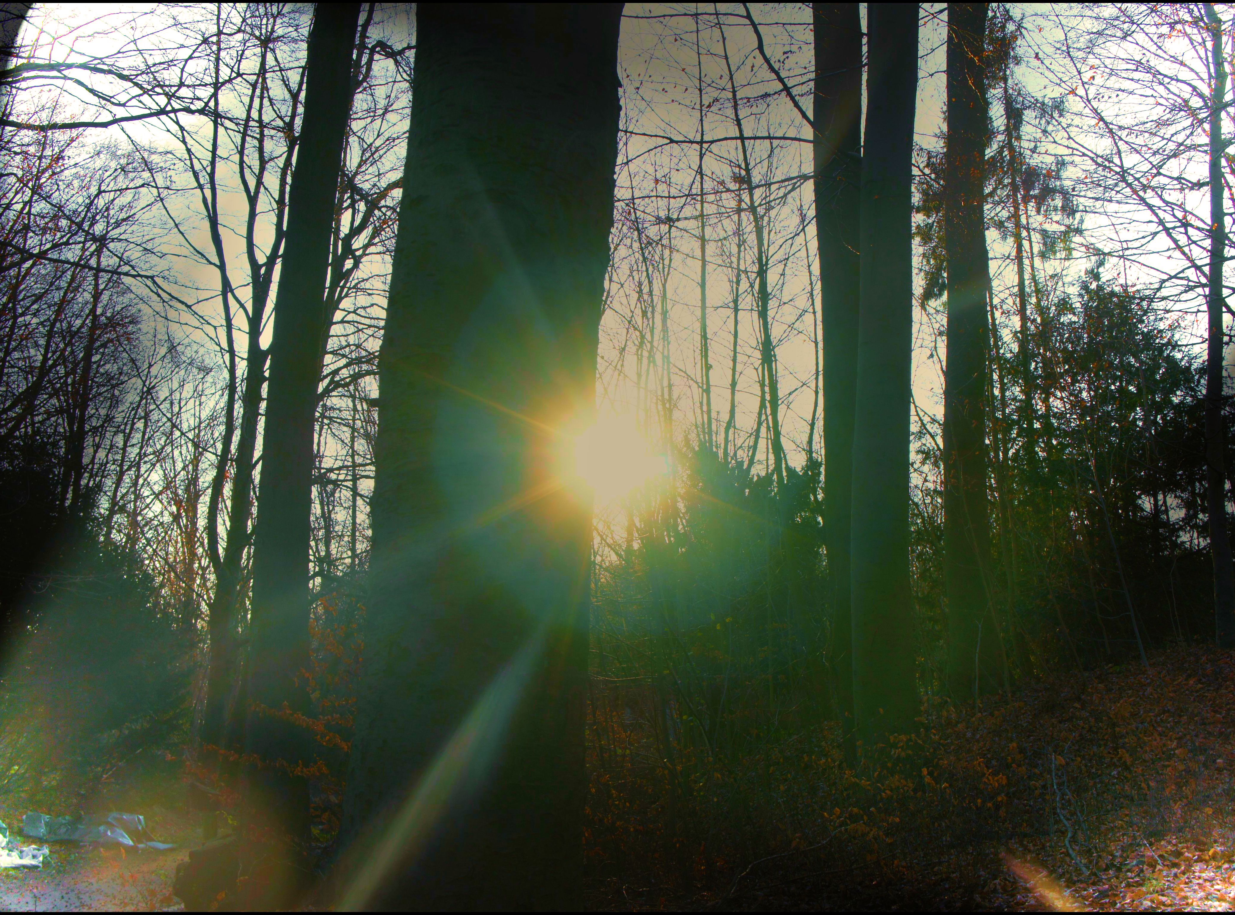 december light