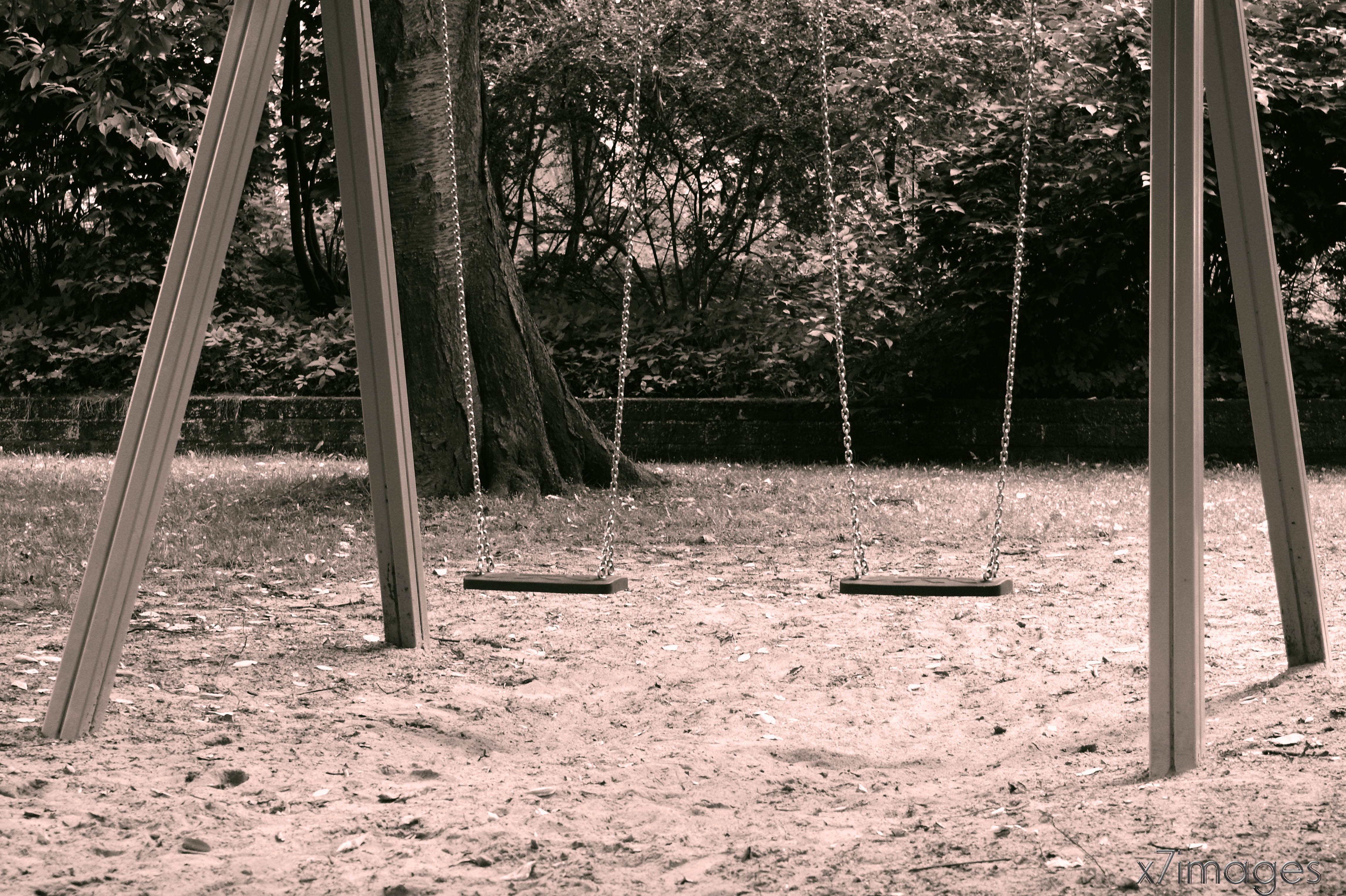 solid ground, north star