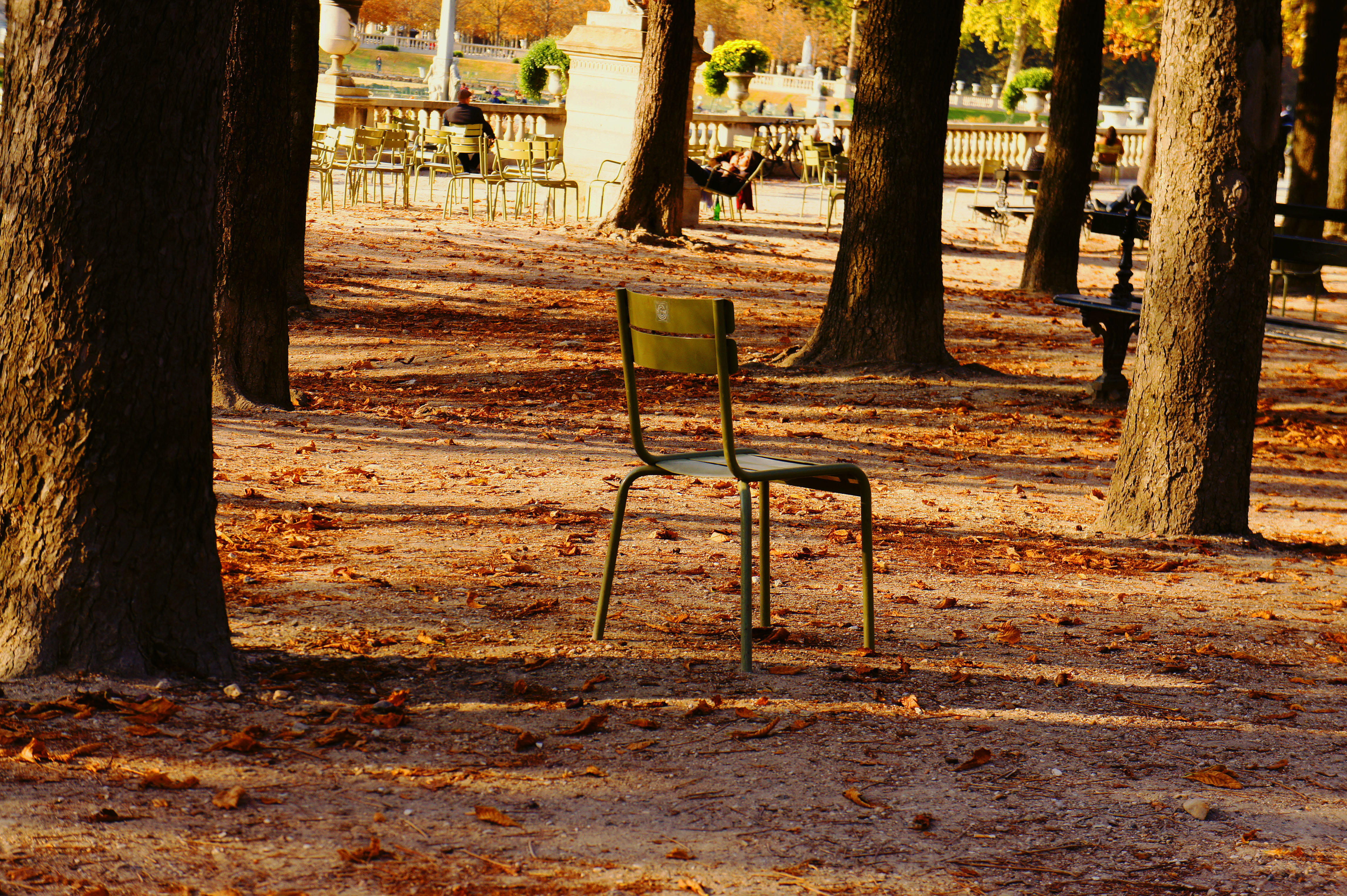 chaise verte