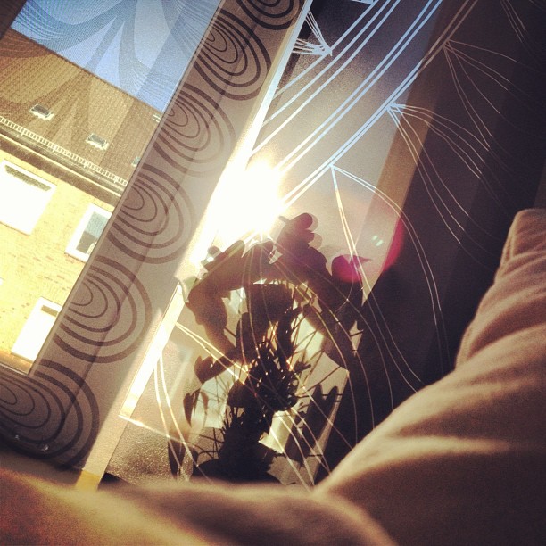shining through