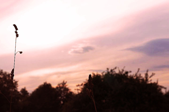 evening falls