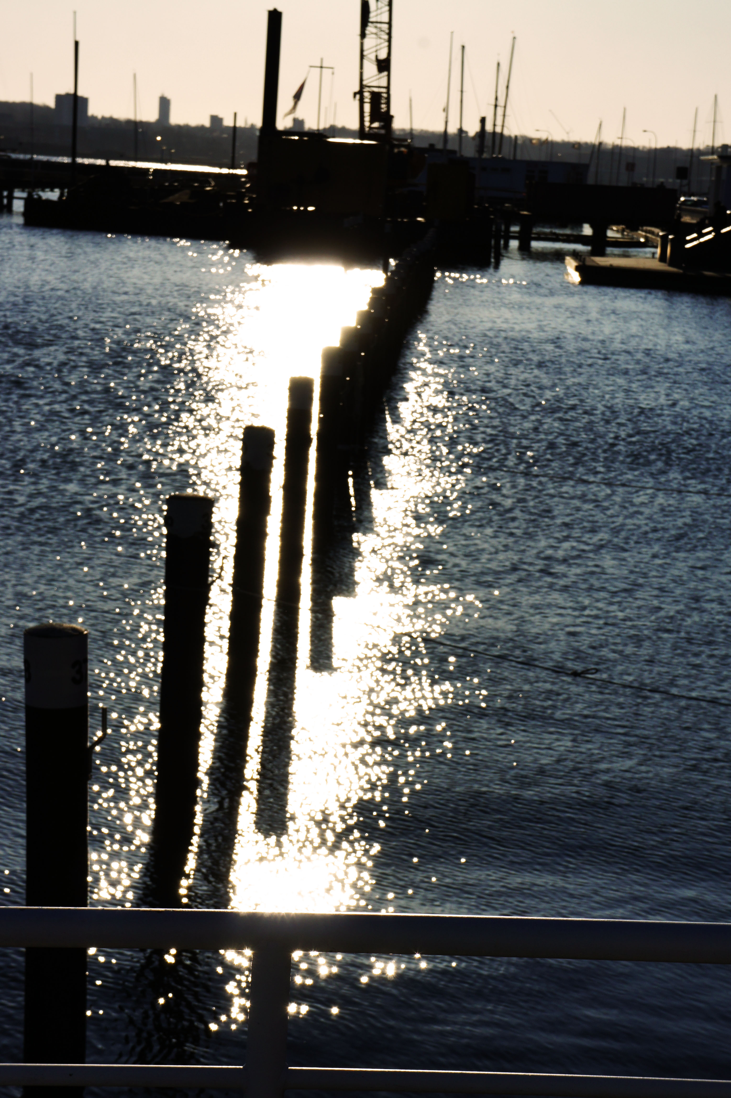 reflecting sun