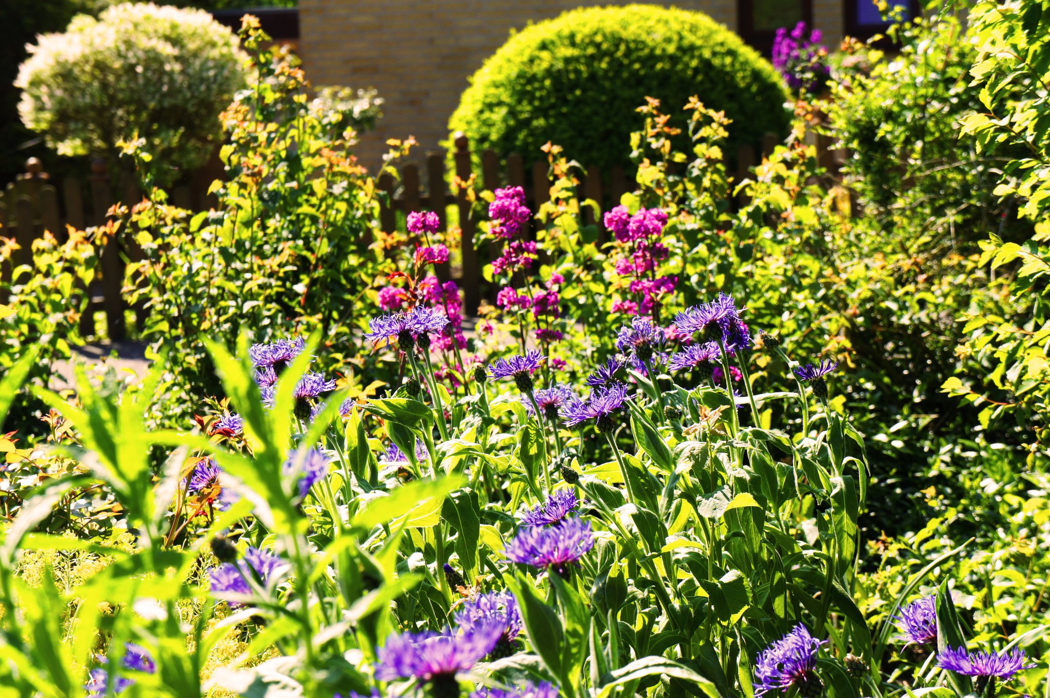always missing spring