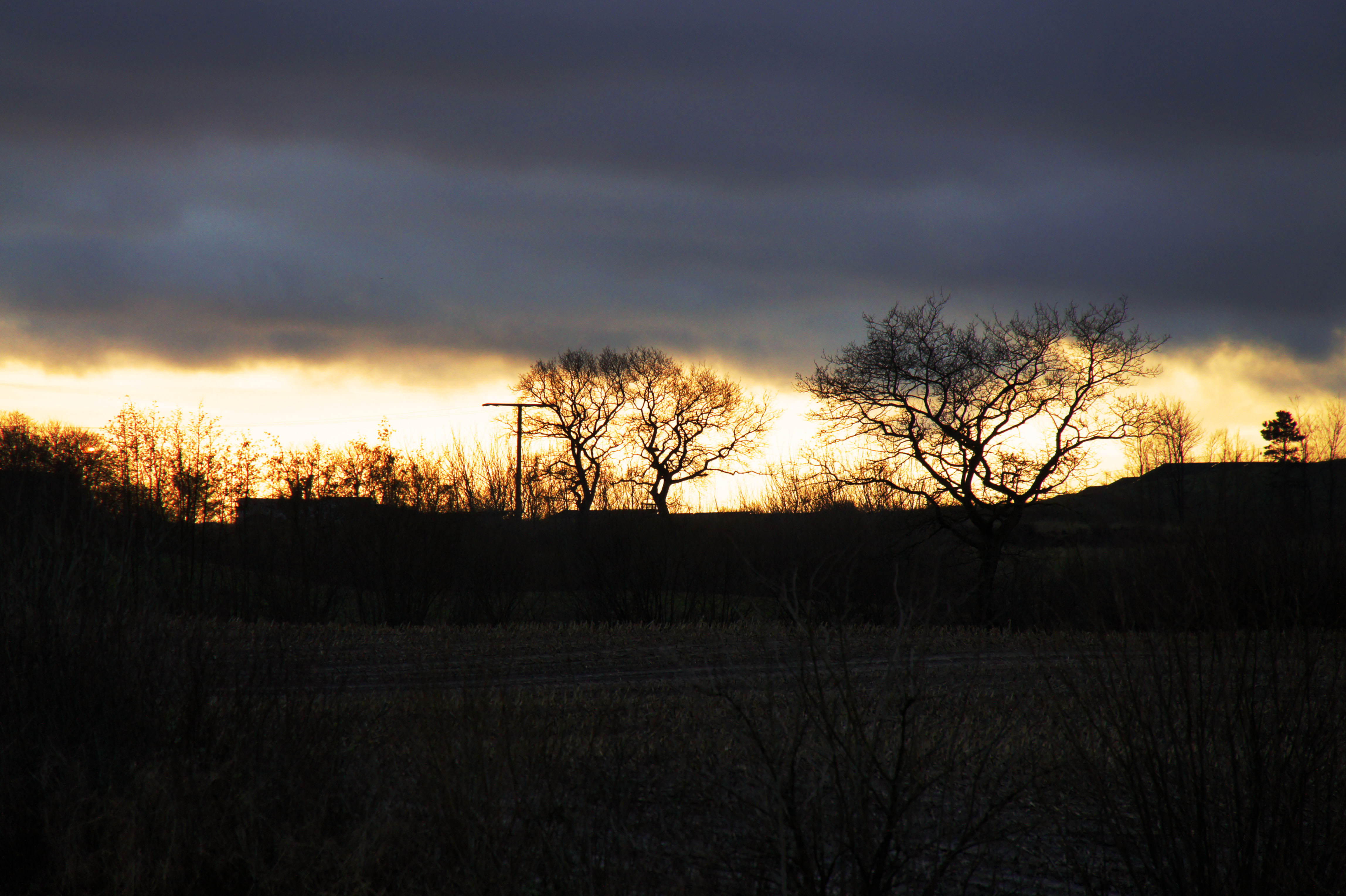 dark and cold