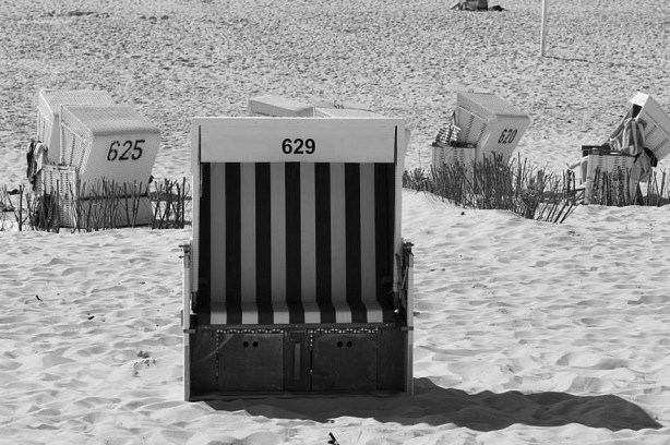 1459206_10201209756109387_1560871436_n