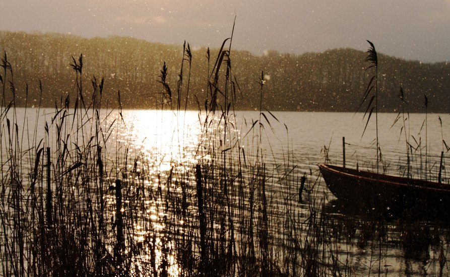 736583_4318254677981_1050422794_o