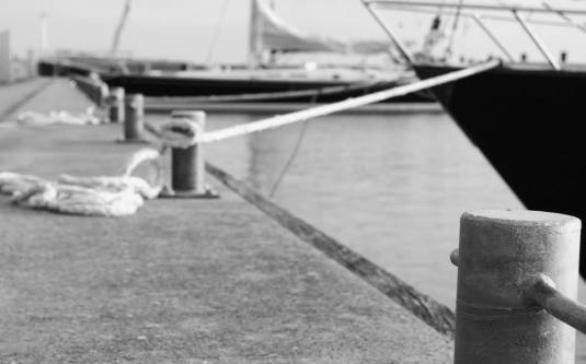 10628464_786276854763503_350778578945869383_n