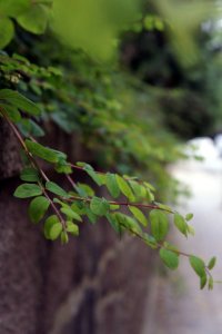 284261_2011314645922_929298_n