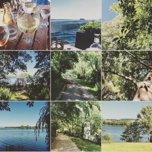 11105160_10204566551307169_4872815279423885687_n