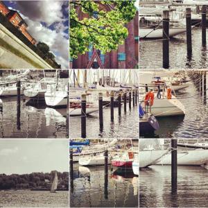 11412298_10204566551707179_4298279292191159649_n