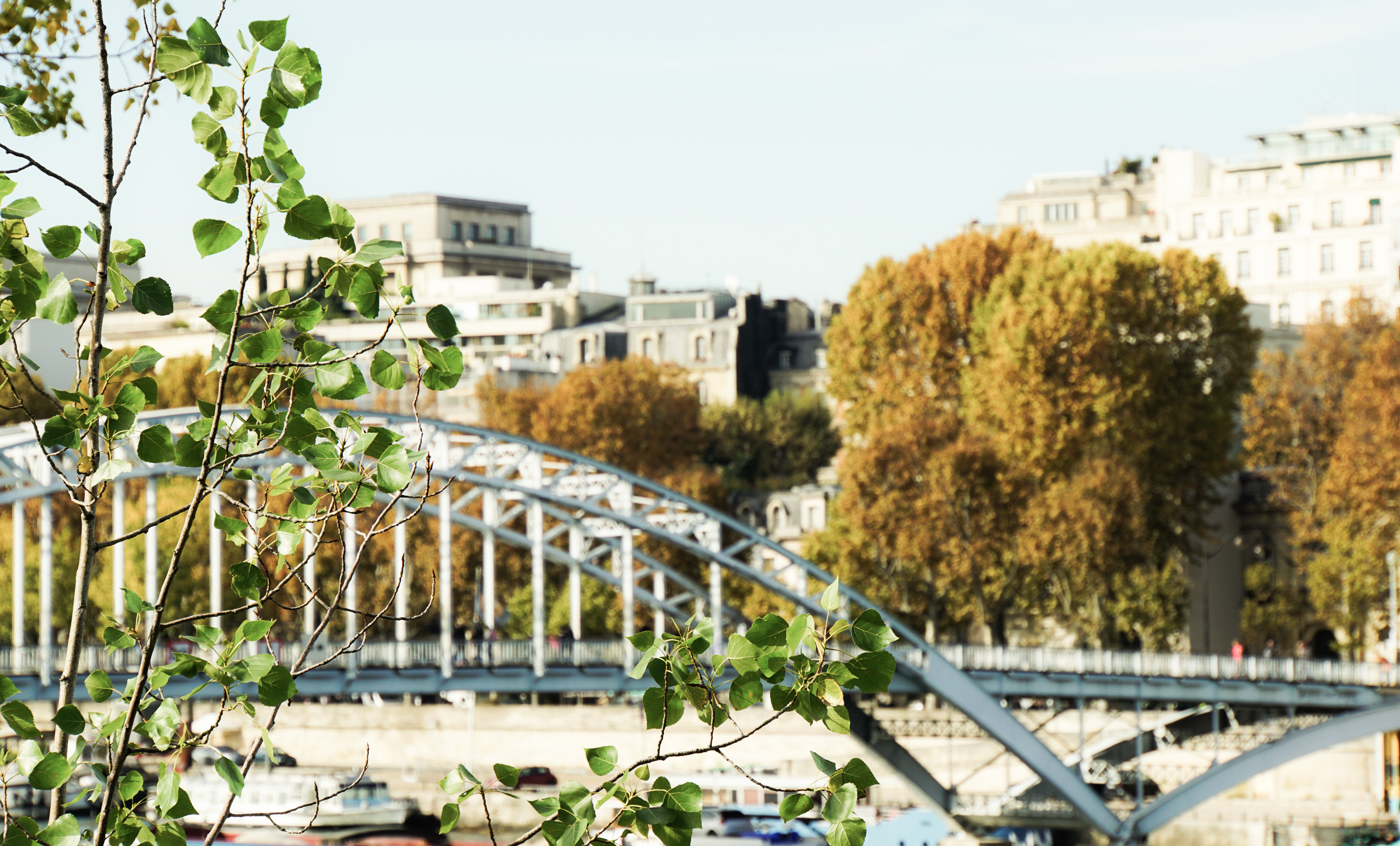 DSC01868_edited_edited